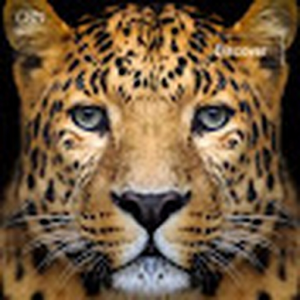 ranamujtaba1010_gmail_com
