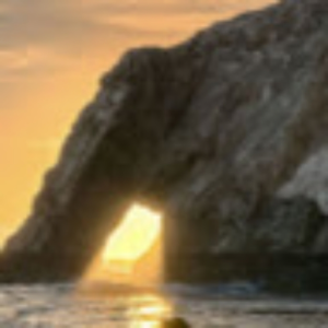 randomtest579_gmail_com