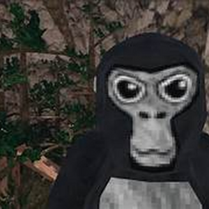 randomYT