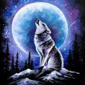 WolfScar