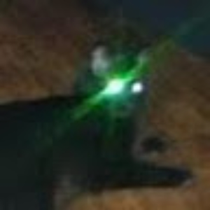 ratcode