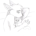 Rather the Fennec