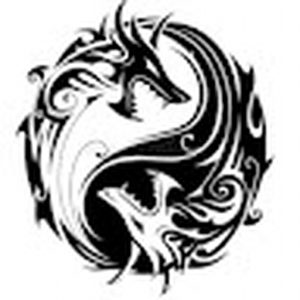 RaySinus