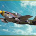 rc_flight