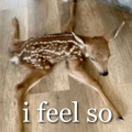 REAREDANTLERS