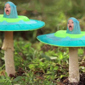 redoceans