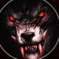 reiad3222_gmail_com