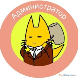 renderlex_gmail_com