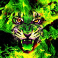 reptile_dude