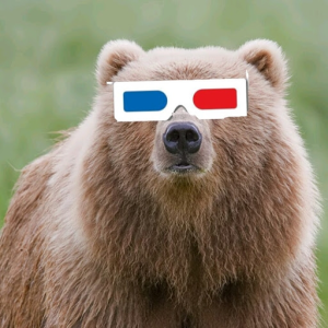 RetroBear3D