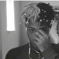 RexyOnWeed