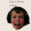 RhinoLlama