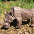 Rhinoputa