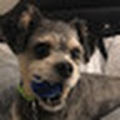 richardh4970_aurorak12_org