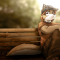 Riku Darkwulf