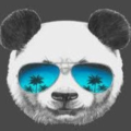 Rj8YHTm
