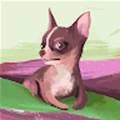 rjhdesigns1_gmail_com