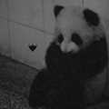 rmoazam786_gmail_com