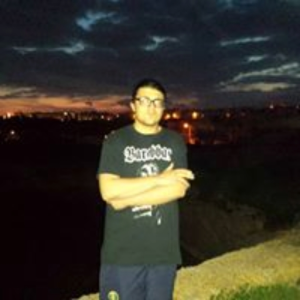 rob_ert
