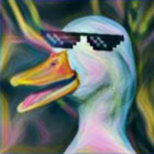 robbertiim