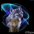 robertsk7114_gapps_bcsds_org
