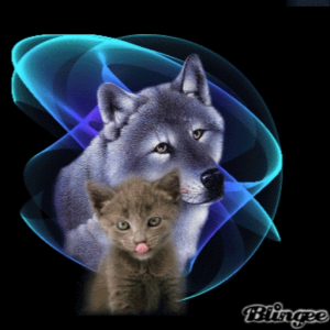 robertsk7114_gapps_bcsds_org