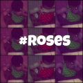 Rontae Of DTR