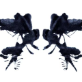 Rorschach test