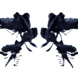 Rorschach test