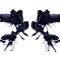 Rorschach test