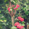 rosem3834_gmail_com