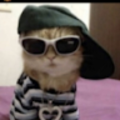 roseolivia04