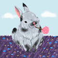 rosirisreales30_gmail_com