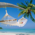 rschep002_gmail_com