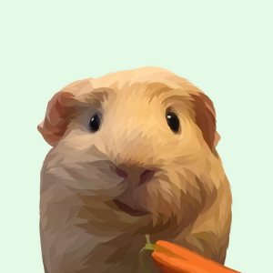 RTAClan
