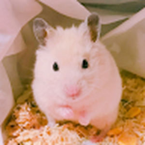 ruby8113_gmail_com