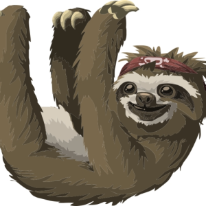 Fitd_Sloth