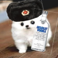 RussianDoggo