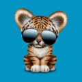 rutlandg_student_wayne_k12_in_us