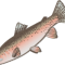 rwebber658_phm_k12_in_us