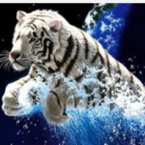 tigerkid26