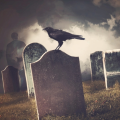 Audiotool Graveyard