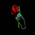 sad_rose_depression_gmail_com