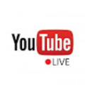 salmgrss59_gmail_com