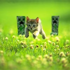 sam_diaz_946517