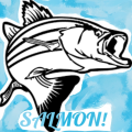 salmon!