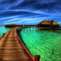 samromero2494_gmail_com