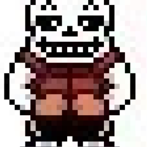 sans200888