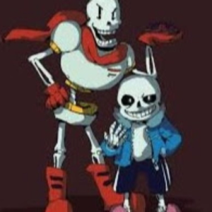 SANS777