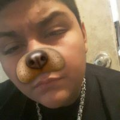 santino_guerrero